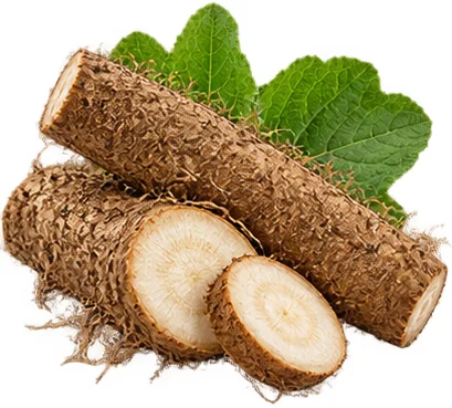 Oste Action sastojak: azijska centela